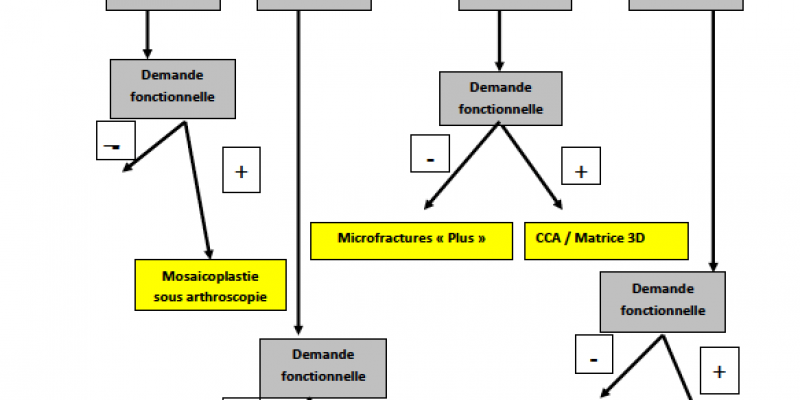 Formations chirurgie orthopédique